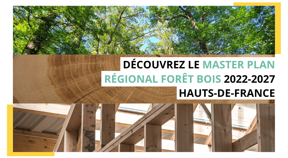 Mastère spécialisé® Médiation territoriale, RSE - Filière forêt bois - ESB