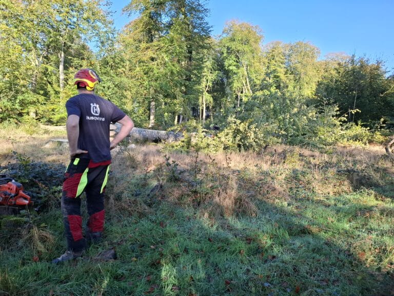 « Vis ma vie de bûcheron » le 23 octobre 2024 en forêt de Crécy-en-Ponthieu