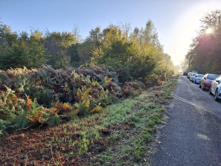 « Vis ma vie de bûcheron » le 23 octobre 2024 en forêt de Crécy-en-Ponthieu