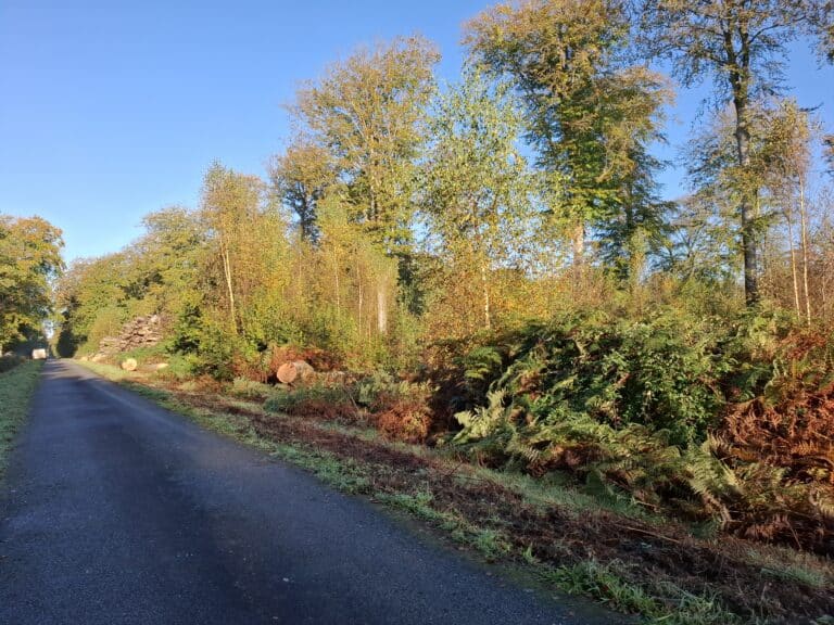 « Vis ma vie de bûcheron » le 23 octobre 2024 en forêt de Crécy-en-Ponthieu