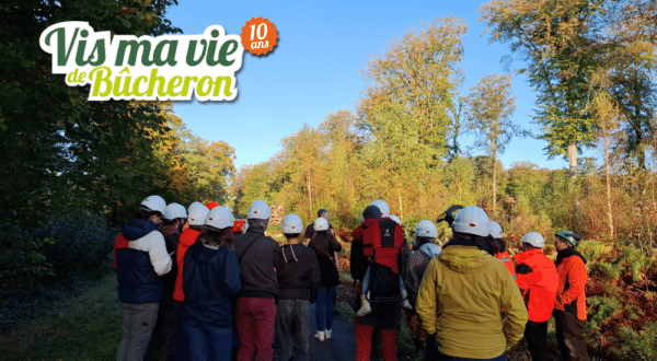 Retour sur « Vis ma vie de bûcheron » le 23 octobre dans la Somme