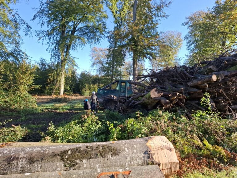 « Vis ma vie de bûcheron » le 23 octobre 2024 en forêt de Crécy-en-Ponthieu