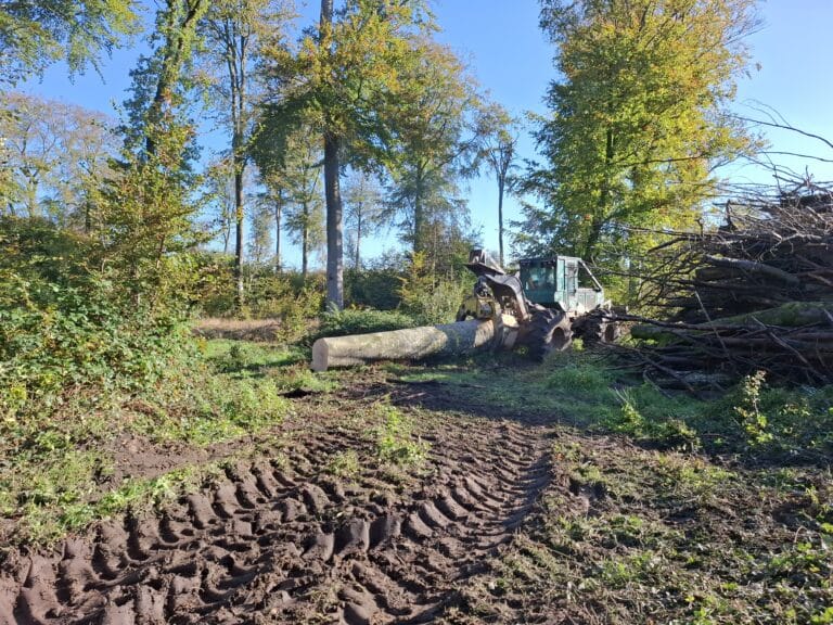 « Vis ma vie de bûcheron » le 23 octobre 2024 en forêt de Crécy-en-Ponthieu