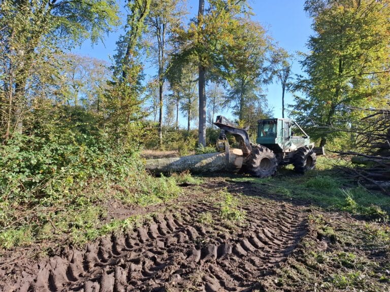 « Vis ma vie de bûcheron » le 23 octobre 2024 en forêt de Crécy-en-Ponthieu