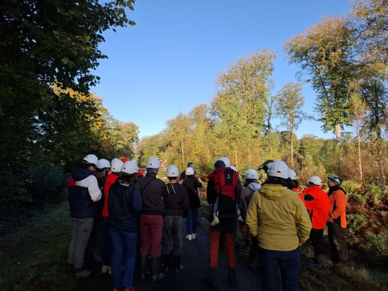 « Vis ma vie de bûcheron » le 23 octobre 2024 en forêt de Crécy-en-Ponthieu